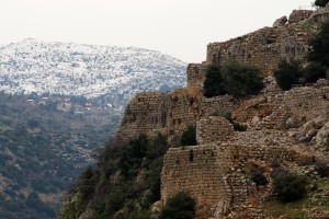 IMG_0697